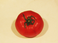 tomato.jpg